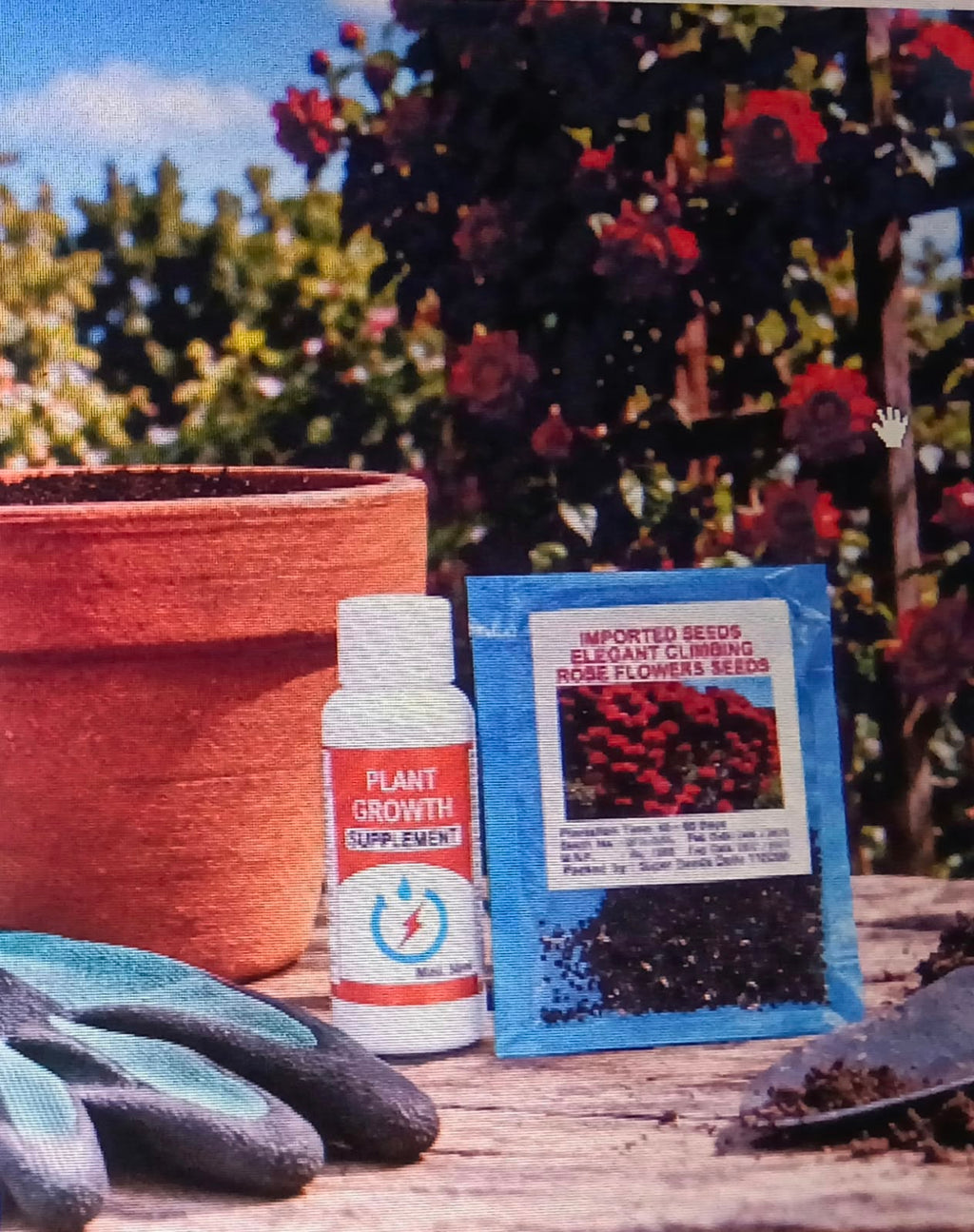 Climbing Rose Flower Seeds & Plant Growth Supplement Kit