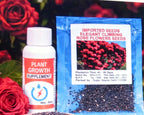 Climbing Rose Flower Seeds & Plant Growth Supplement Kit