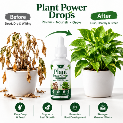 Revives Dead Plants