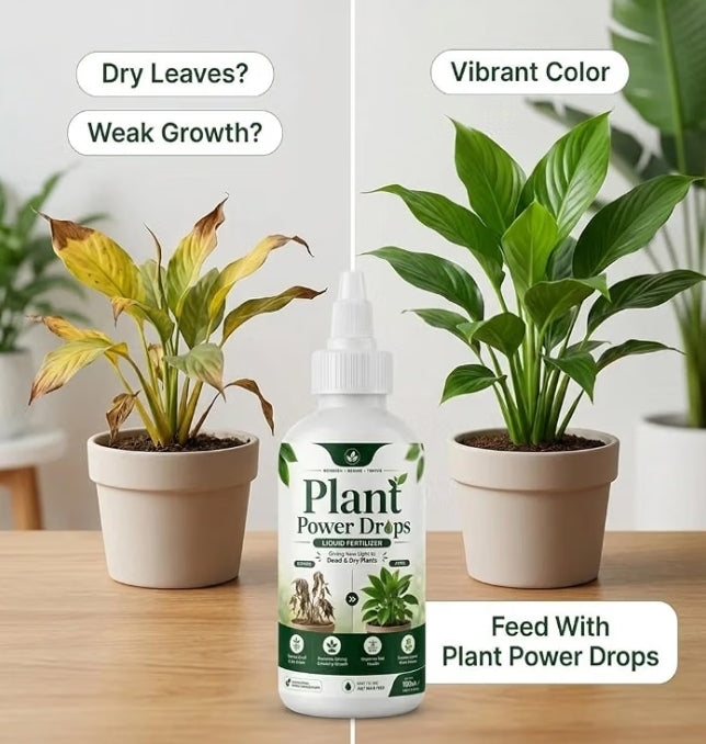 Liquid Fertilizer For Plants - Pack of 3