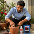 Elegant Climbing Rose Flower Seeds With Plant Growth Supplement KIT