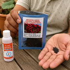 Elegant Climbing Rose Flower Seeds With Plant Growth Supplement KIT